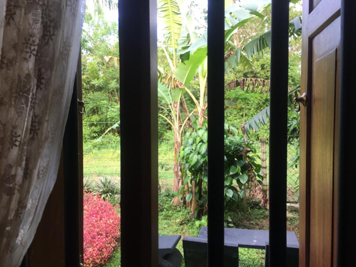 Hotel Owls Nest Udawalawe Exterior foto